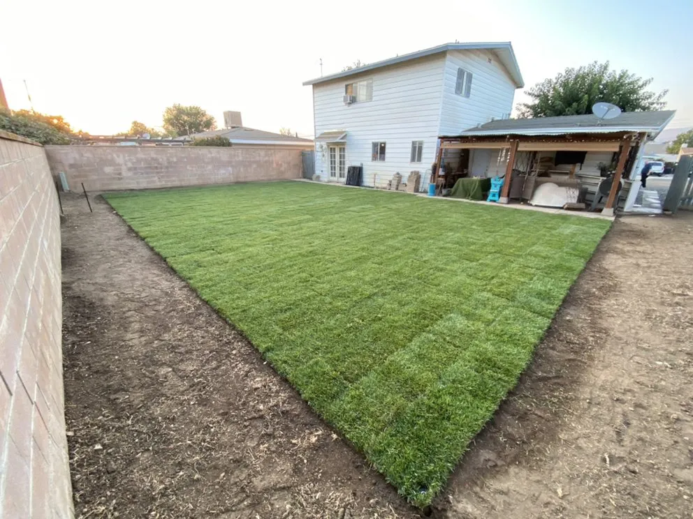 Reliable yard cleanup service for residential properties across Bakersfield, CA - Pimentel Landscaping