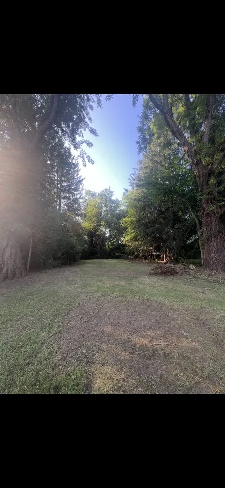 Professional landscape installation in Holbrook, MA - Pimentel Landscaping