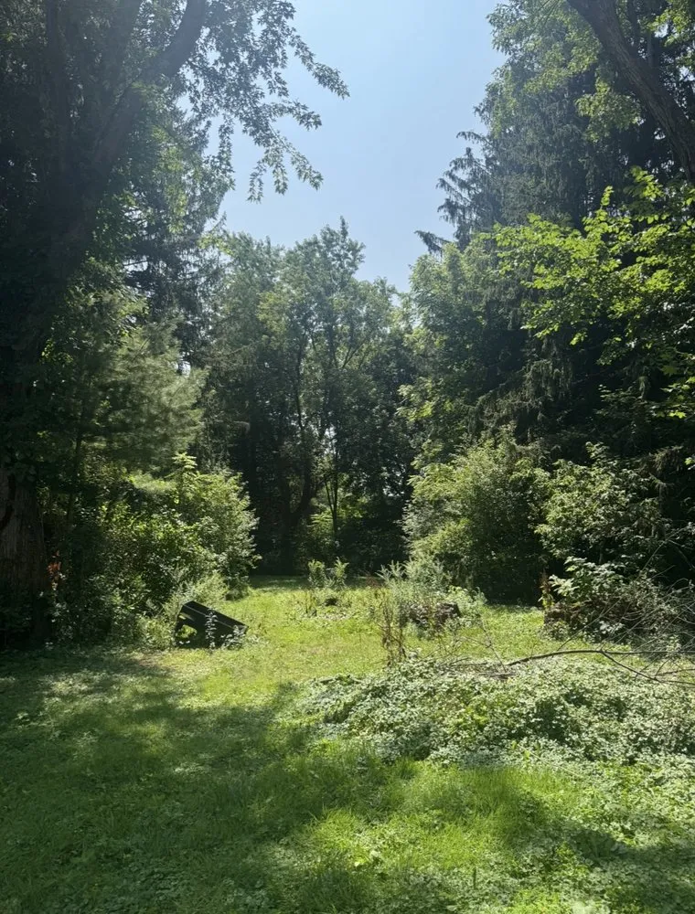 Top-rated landscape installation in Holbrook, MA - Pimentel Landscaping