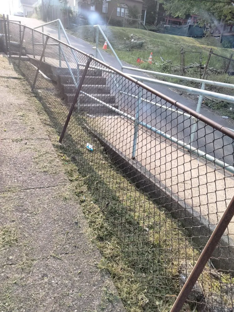 Affordable yard cleanup service in Pittsburgh, PA - Pimp Ur Ass Lawn Service