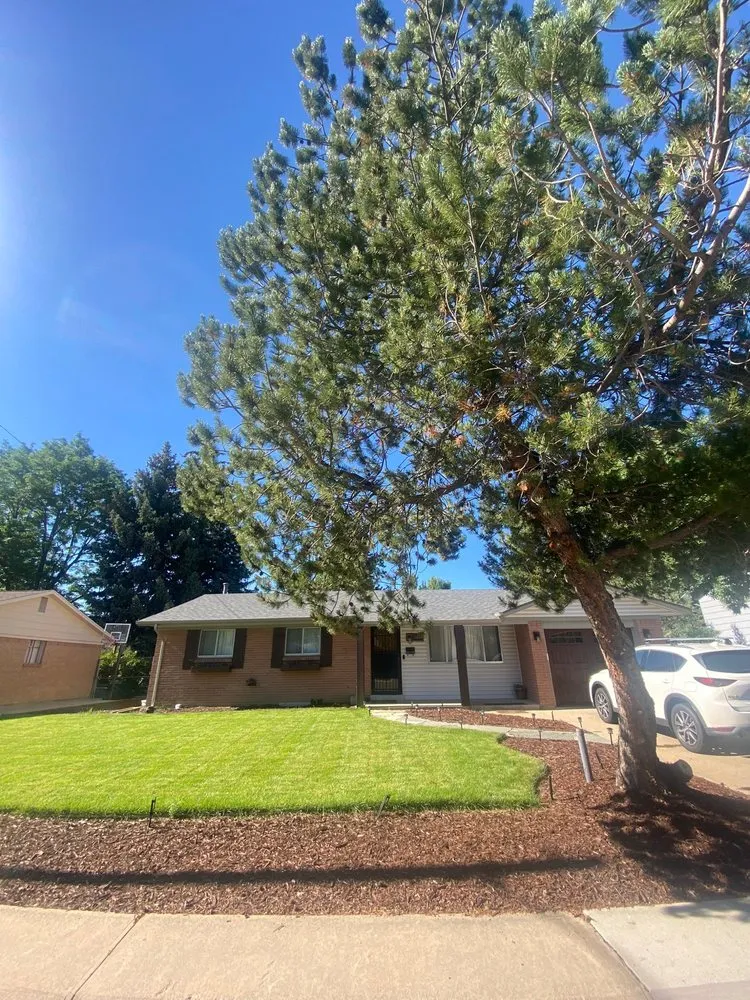 Trusted yard cleanup service in Westminster, CO - Pin Landscaping & Lawn Service