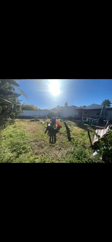 Reliable landscaping services in Spring Valley, CA by Pina Landscape