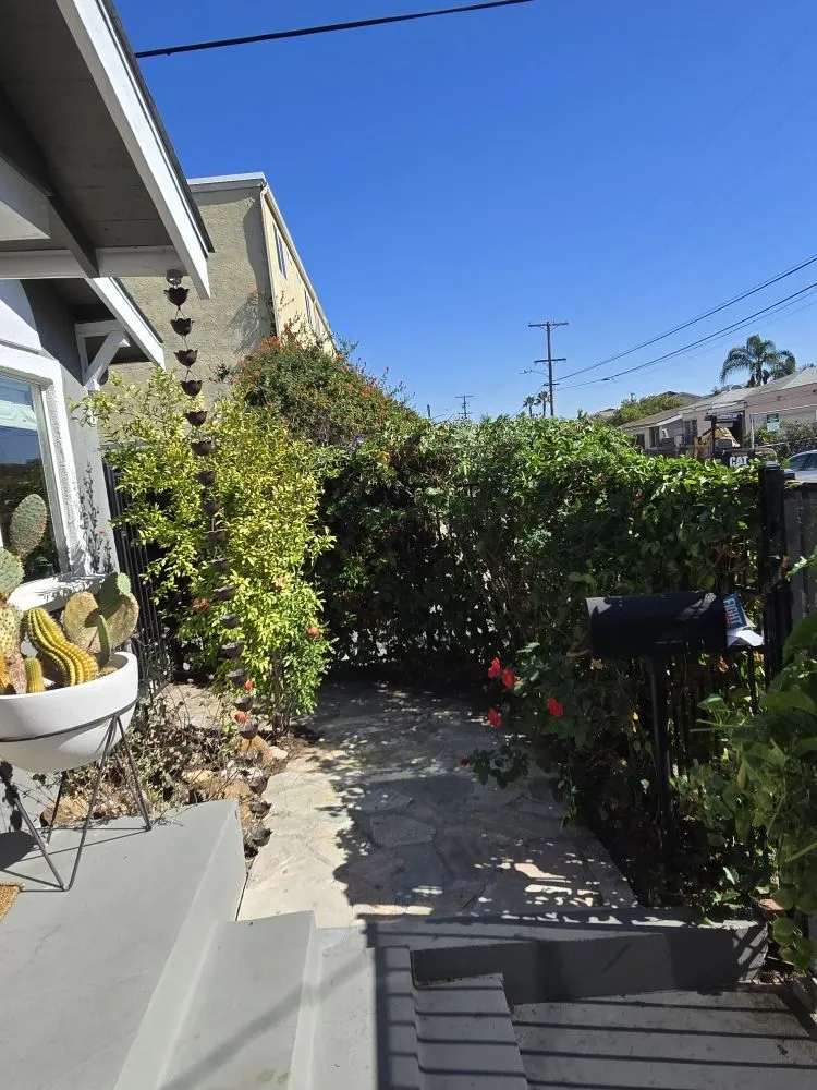 Local yard cleanup service in Spring Valley, CA by Pina Landscape