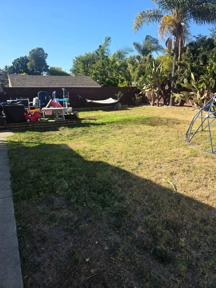 Reliable yard maintenance experts serving Spring Valley, CA - Pina Landscape