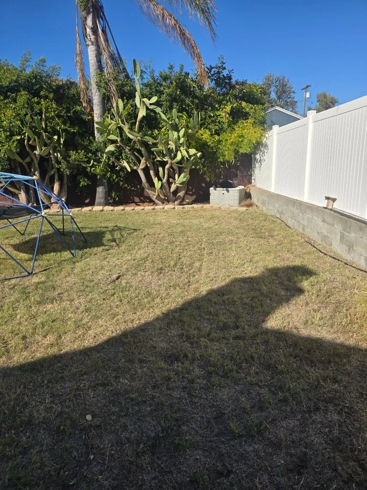 Local landscape design in Spring Valley, CA by Pina Landscape