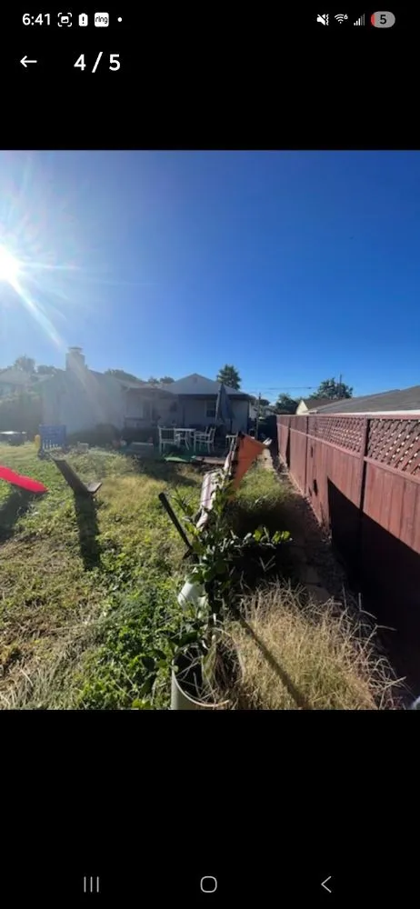 Local landscape design for residential properties across Spring Valley, CA - Pina Landscape