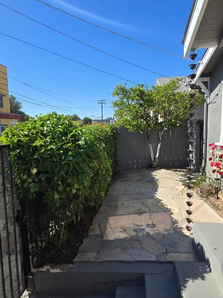 Reliable landscape installation for year-round maintenance in Spring Valley, CA by Pina Landscape