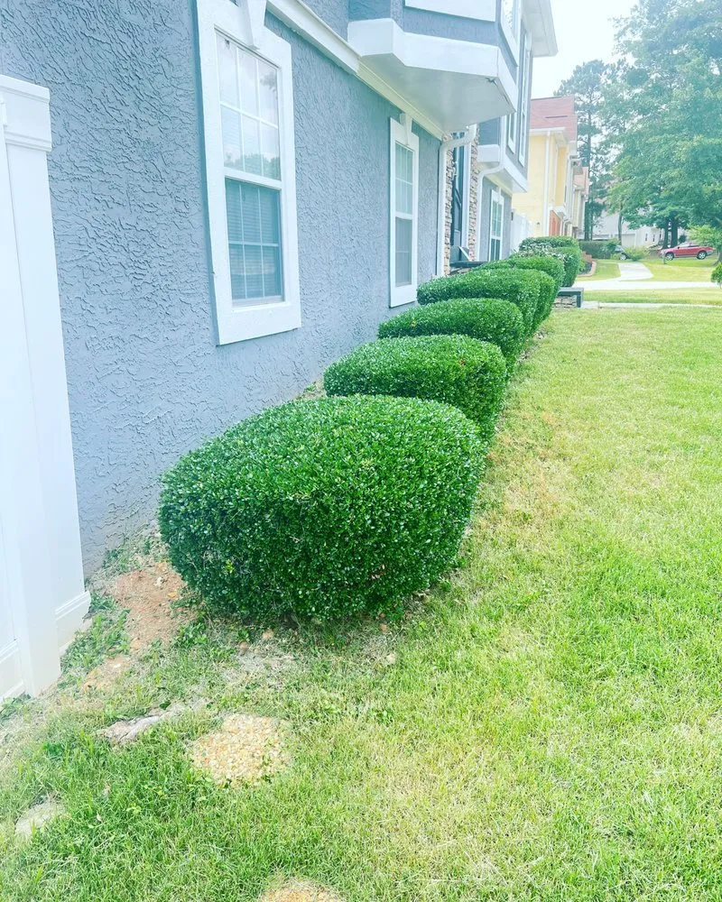 Top-rated yard maintenance for outdoor upgrades in Orangevale, CA by Pina pro Landscaping design