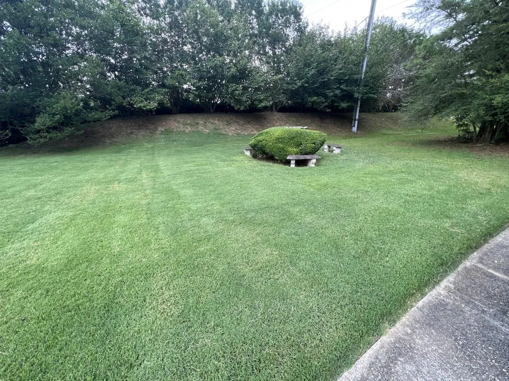 Trusted lawn care service in Orangevale, CA - Pina pro Landscaping design