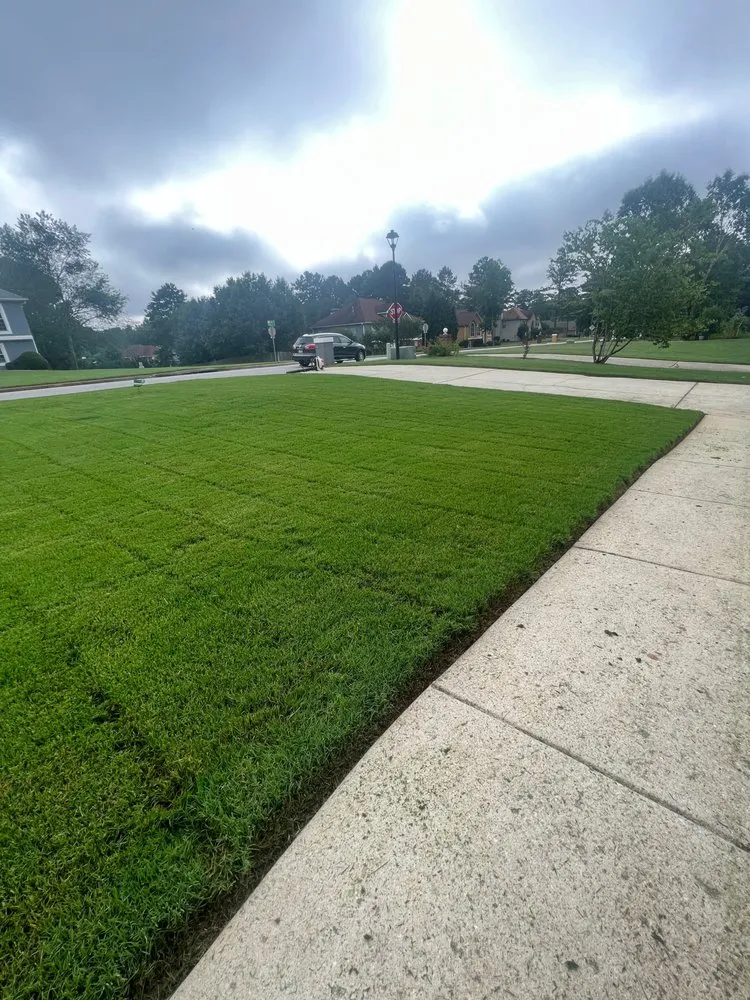 Reliable lawn mowing service in Orangevale, CA - Pina pro Landscaping design