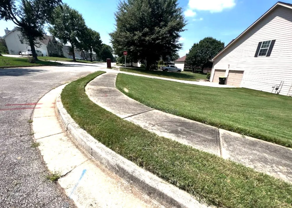 Expert yard cleanup service near you in Orangevale, CA by Pina pro Landscaping design