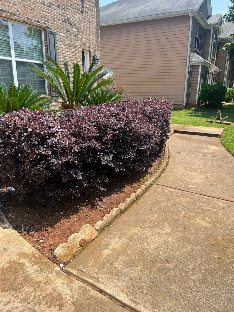 Local lawn care service in Orangevale, CA by Pina pro Landscaping design