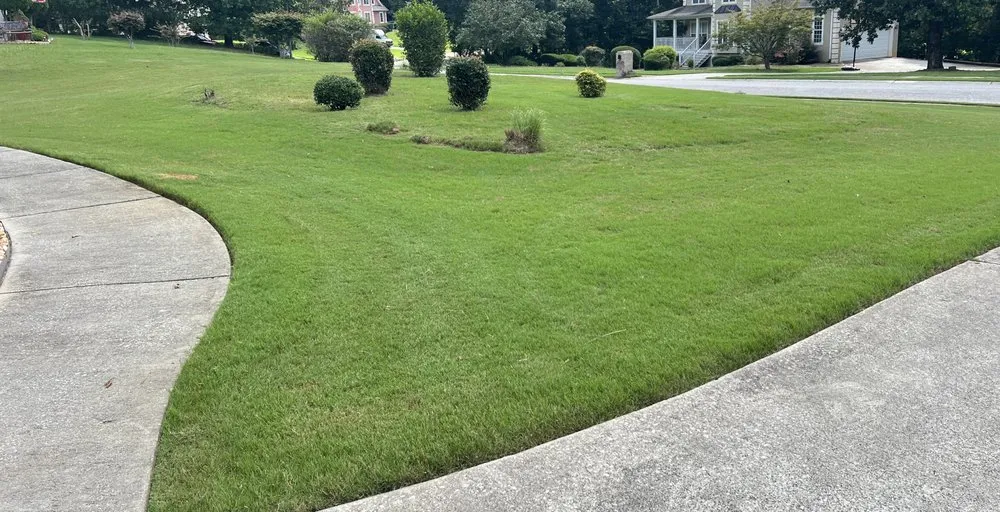 Local landscape installation experts serving Orangevale, CA - Pina pro Landscaping design