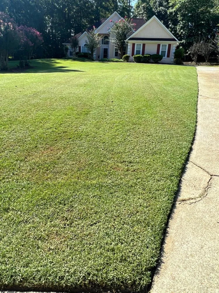 Local outdoor landscaping in Orangevale, CA by Pina pro Landscaping design