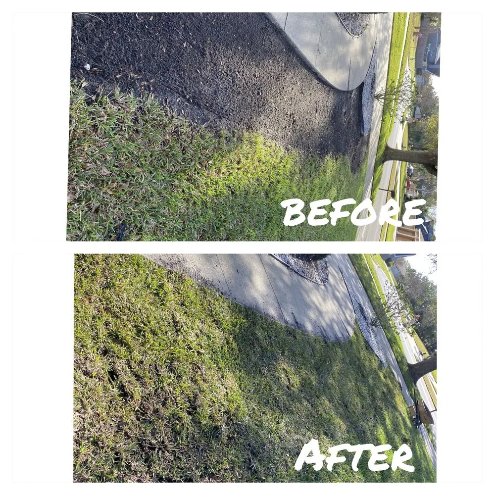 Custom outdoor landscaping experts serving Orlando, FL - Pinales Lawn and Landscaping