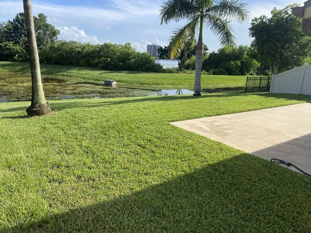 Trusted landscaping services near you in Orlando, FL by Pinales Lawn and Landscaping