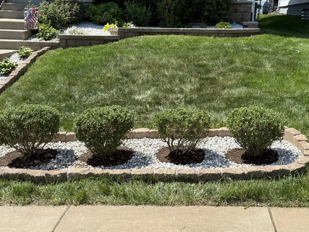 Top-rated yard cleanup service near you in Stafford, VA by Pinasco Services