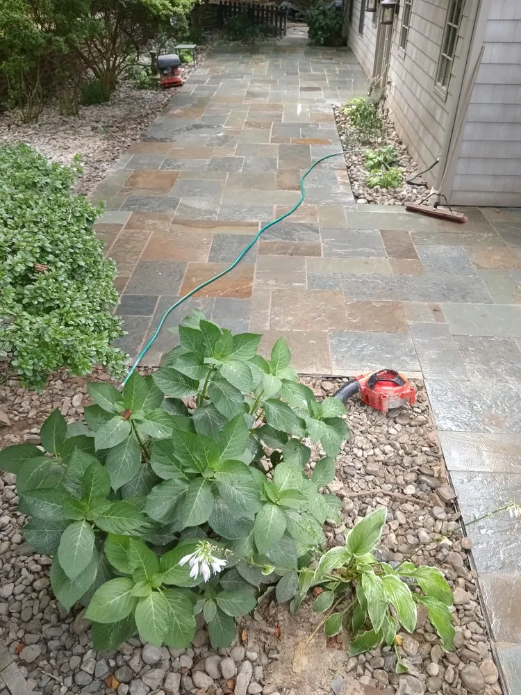 Expert yard maintenance experts serving Norristown, PA - Pinch of Perfection Lawncare