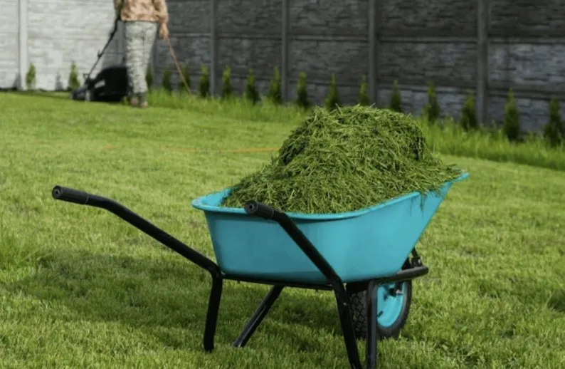 Professional lawn mowing service near you across Oliver Springs, TN - Pine & Order