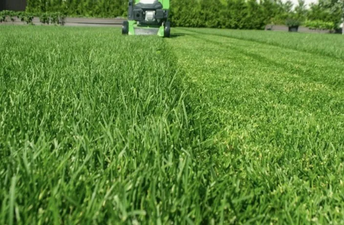 Professional lawn mowing service in Oliver Springs, TN - Pine & Order