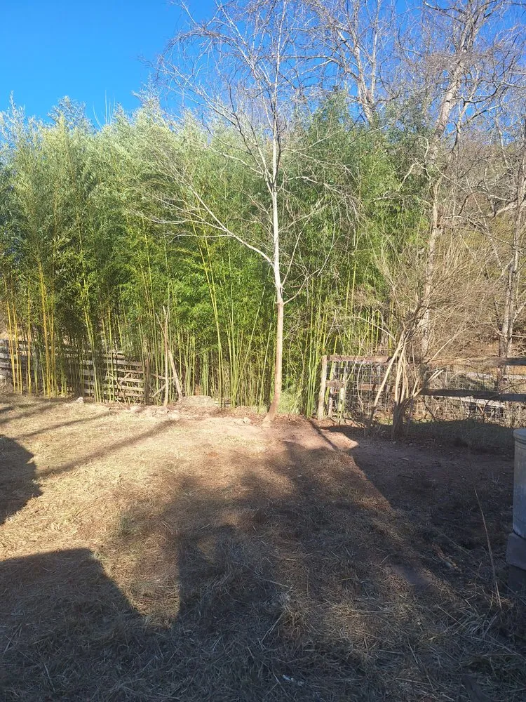 Expert outdoor landscaping with custom design across Roanoke, VA - Pine & Willow