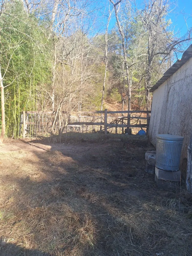 Custom yard cleanup service for beautiful yards across Roanoke, VA - Pine & Willow