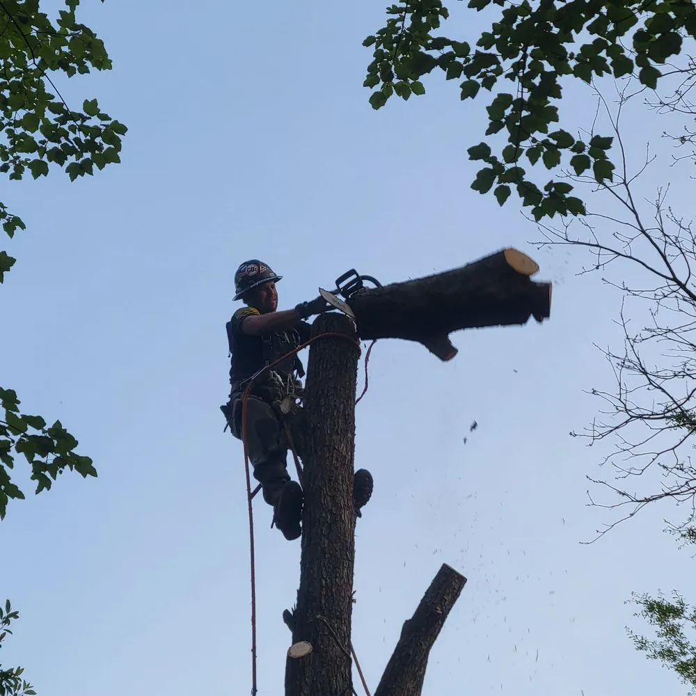Trusted garden landscaping for year-round maintenance in Columbus, GA by Pine Branch Tree Service