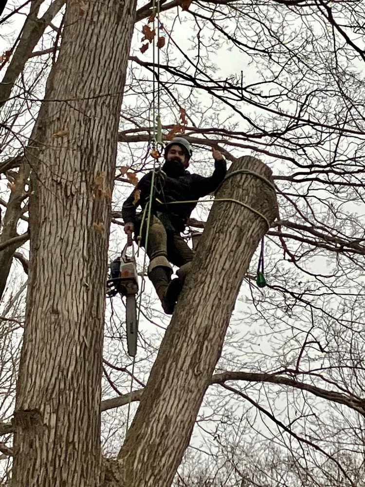 Professional lawn mowing service in Bedford, NY by Pine Brook Arbor Services