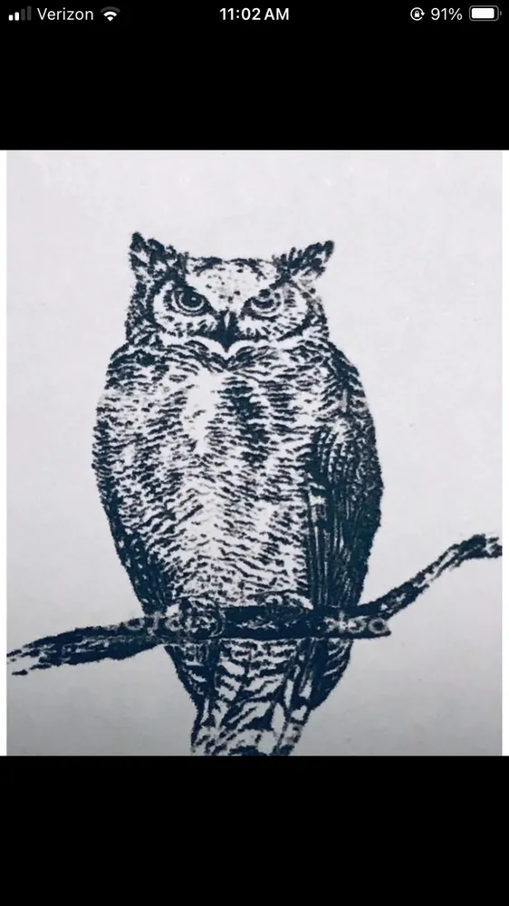 Local landscaping services for residential properties in Bedford, NY by Pine Brook Arbor Services