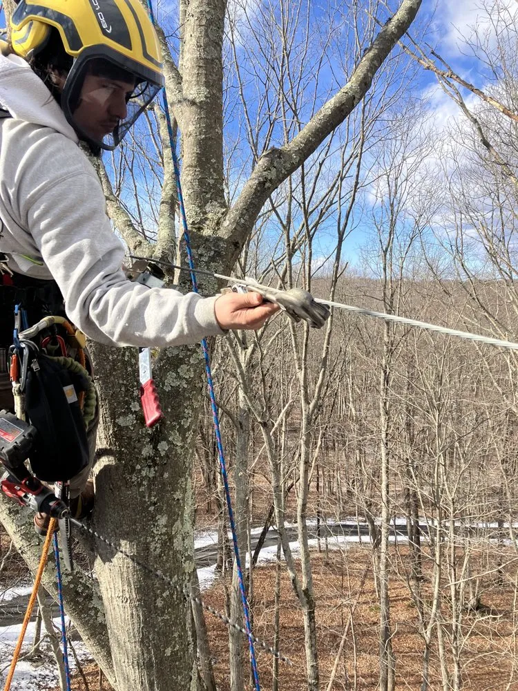 Expert residential landscaping near you in Bedford, NY by Pine Brook Arbor Services