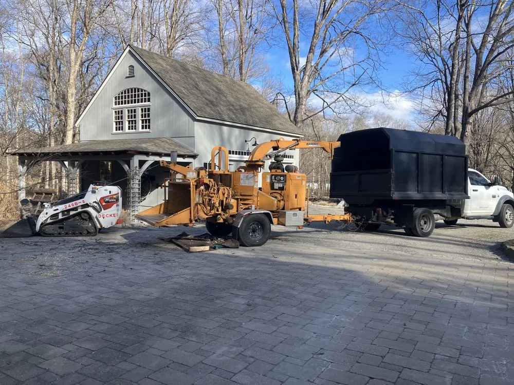 Affordable yard cleanup service in Bedford, NY - Pine Brook Arbor Services