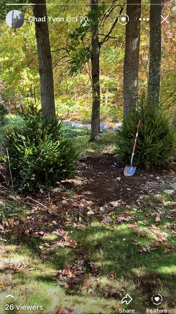 Top-rated lawn mowing service for outdoor upgrades in Bedford, NY by Pine Brook Arbor Services