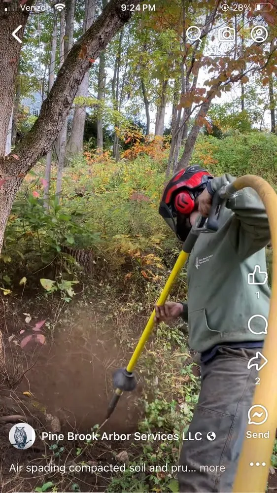 Expert yard maintenance in Bedford, NY - Pine Brook Arbor Services