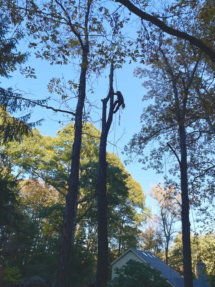 Trusted landscape installation in Bedford, NY by Pine Brook Arbor Services