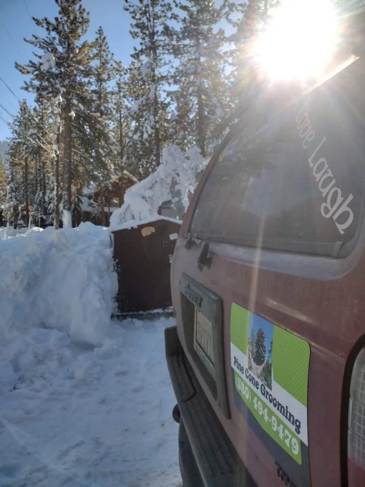 Expert garden landscaping for beautiful yards in South Lake Tahoe, CA by Pine Cone Grooming