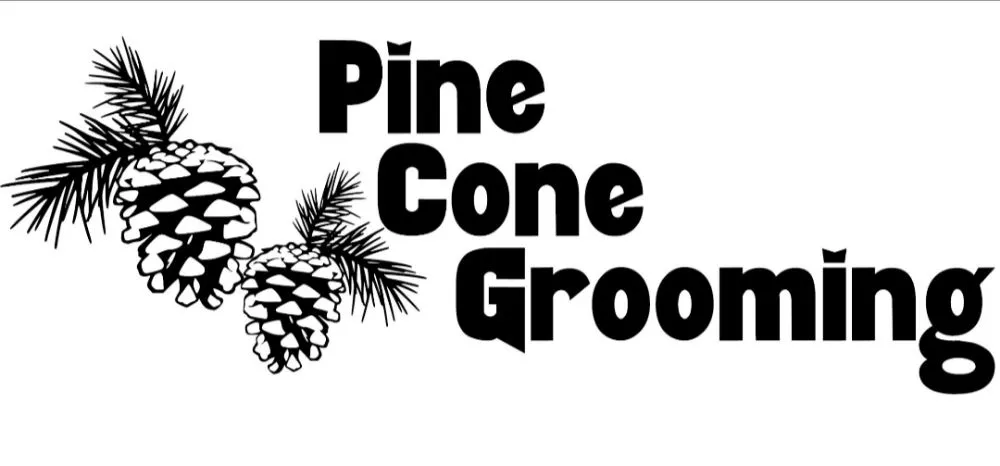 Top-rated residential landscaping in South Lake Tahoe, CA by Pine Cone Grooming