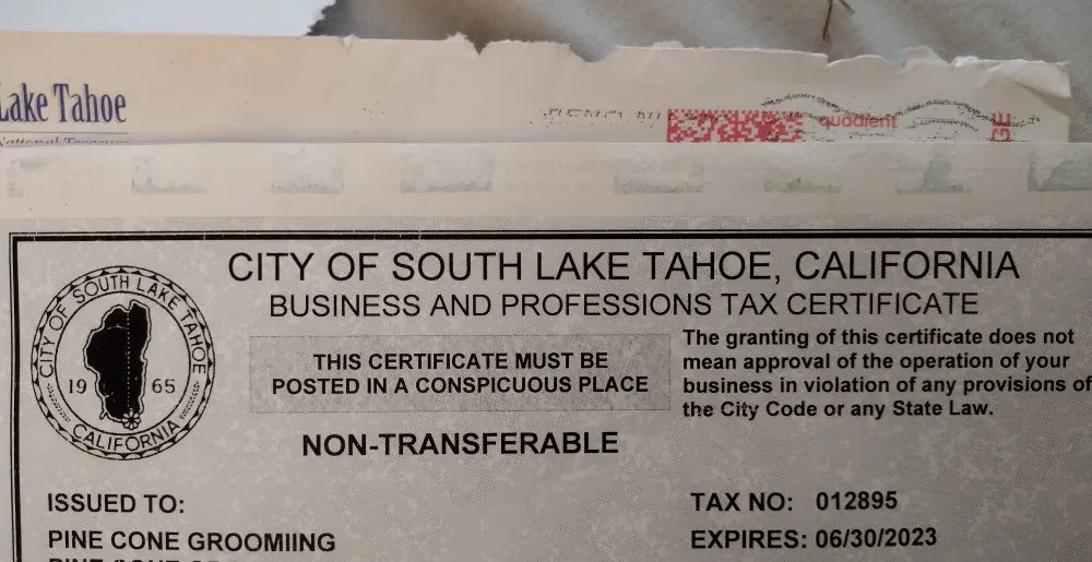 Professional landscape design for outdoor upgrades across South Lake Tahoe, CA - Pine Cone Grooming