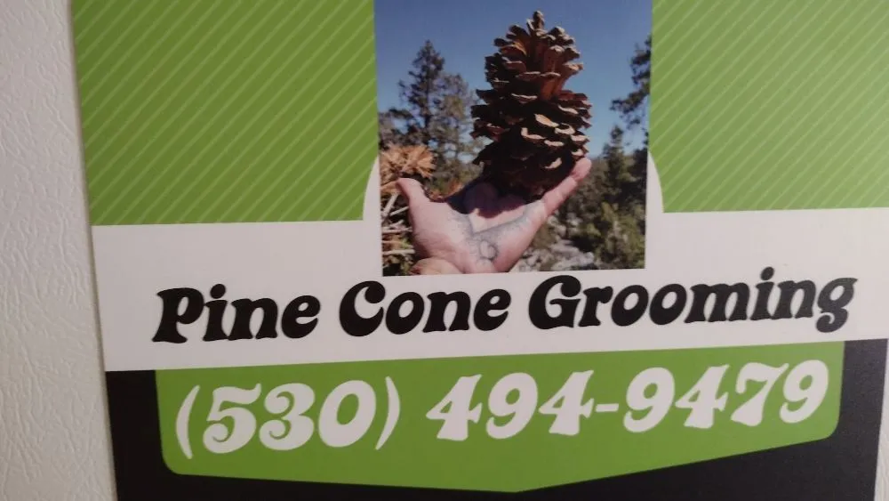 Affordable outdoor landscaping for outdoor upgrades across South Lake Tahoe, CA - Pine Cone Grooming