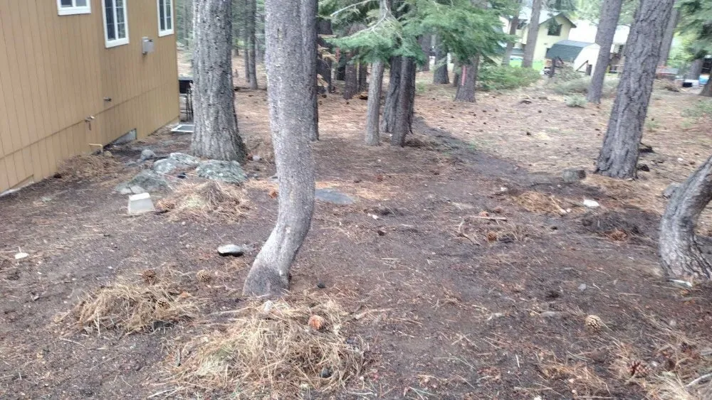 Expert landscape installation in South Lake Tahoe, CA - Pine Cone Grooming