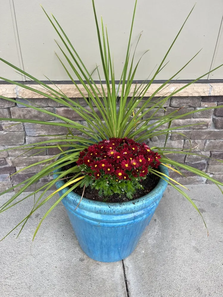 Expert lawn mowing service in Martinsburg, WV - Pine Creek Lawn Care