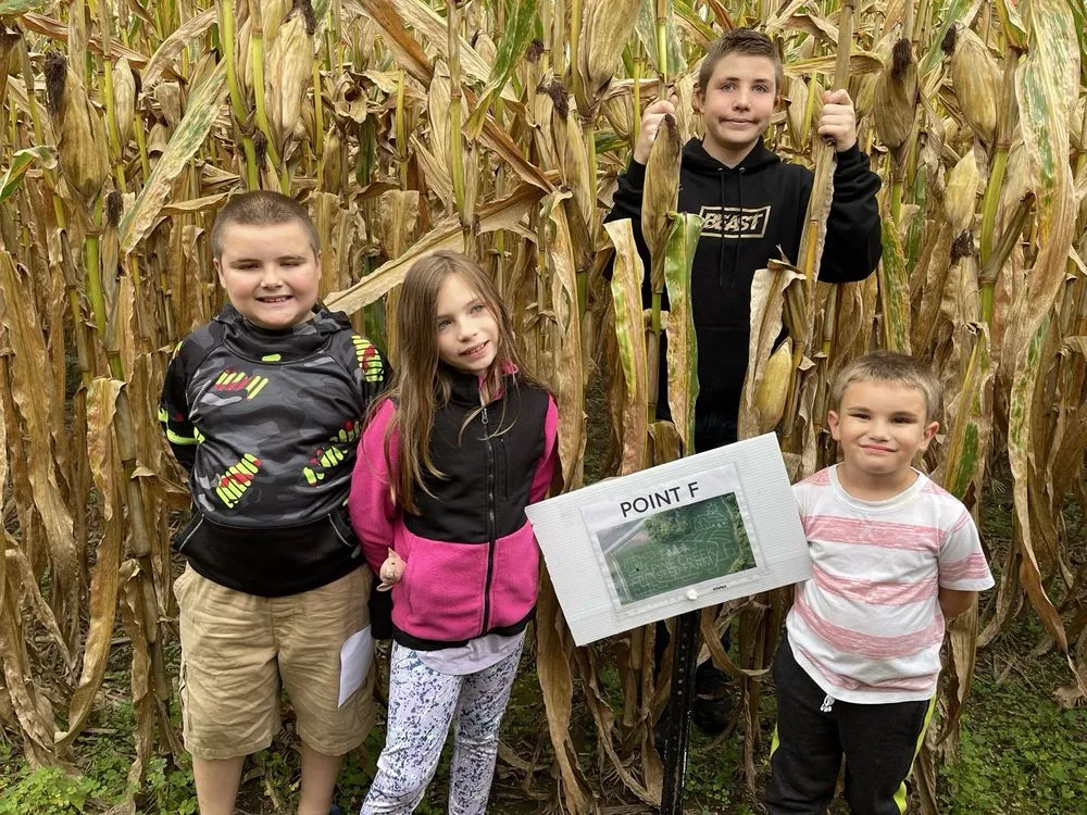 Custom yard cleanup service for homes across Jersey Shore, PA - Pine Creek Seed Farm