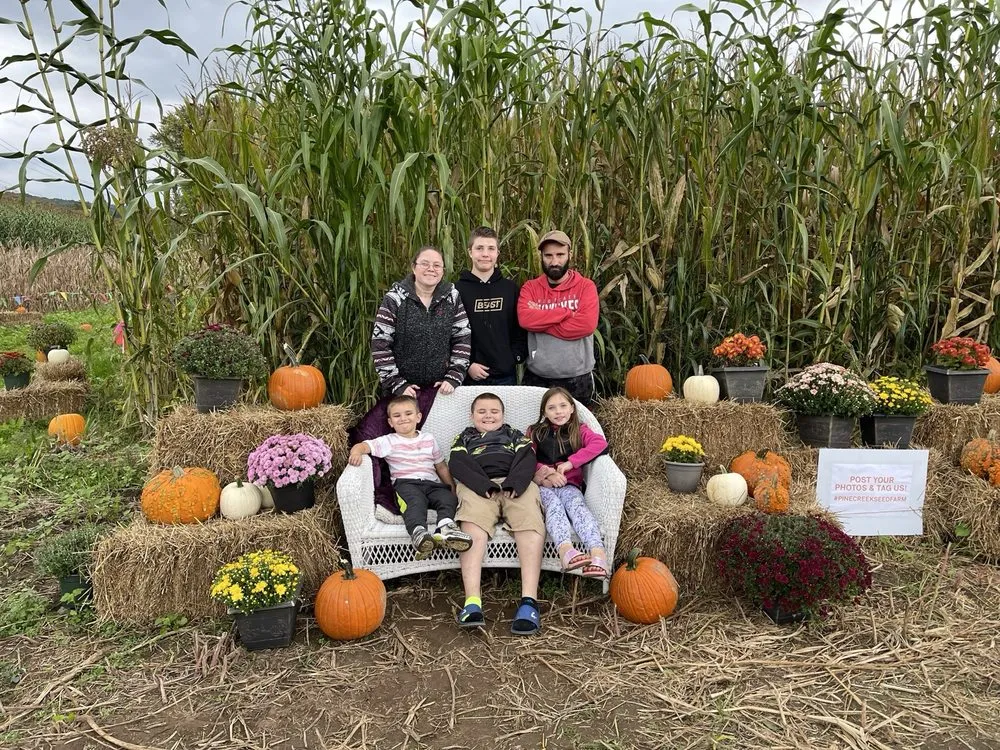 Affordable garden landscaping for outdoor upgrades in Jersey Shore, PA by Pine Creek Seed Farm