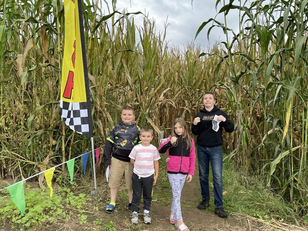 Trusted landscaping services for beautiful yards across Jersey Shore, PA - Pine Creek Seed Farm