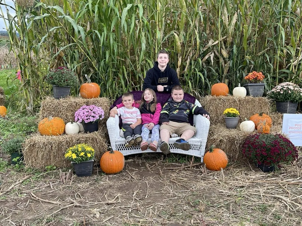 Trusted outdoor landscaping experts serving Jersey Shore, PA - Pine Creek Seed Farm