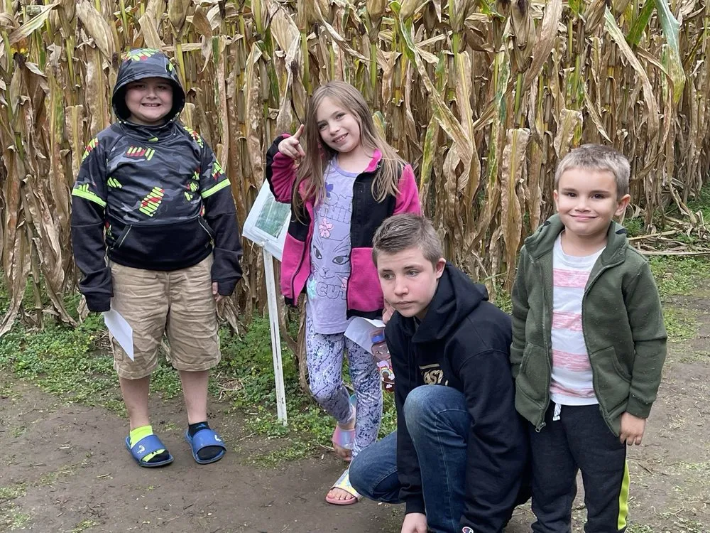 Reliable lawn mowing service near you in Jersey Shore, PA by Pine Creek Seed Farm