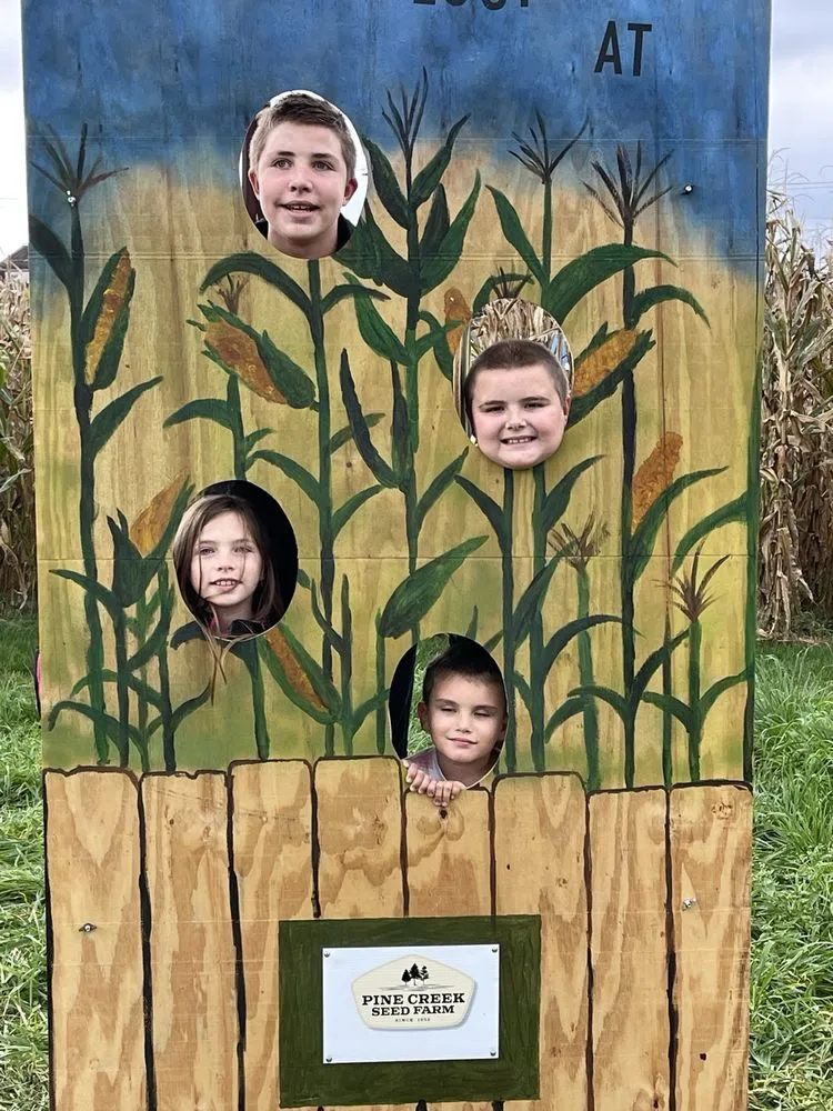 Custom yard cleanup service experts serving Jersey Shore, PA - Pine Creek Seed Farm