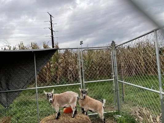 Pine Creek Seed Farm