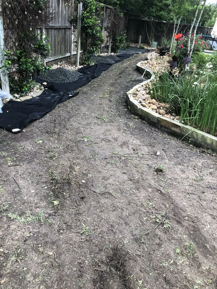 Top-rated yard maintenance in Conroe, TX - Pine Forest Lawn Care