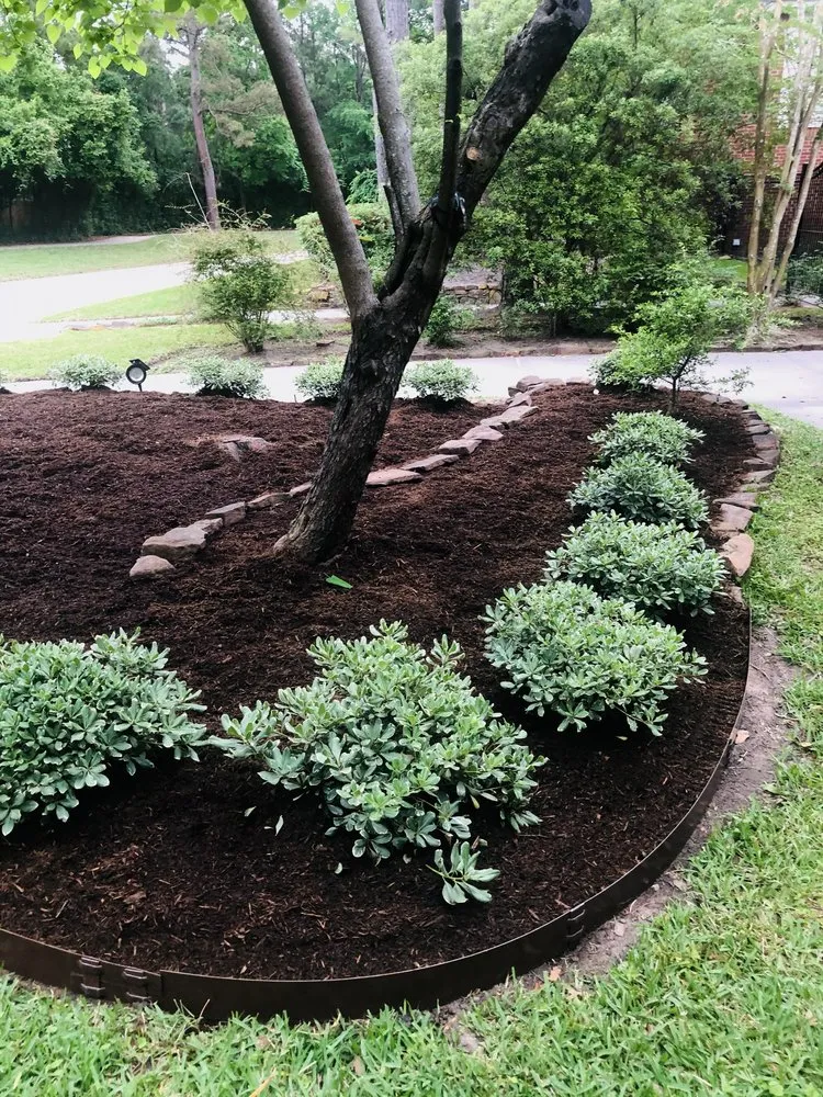 Top-rated residential landscaping in Conroe, TX by Pine Forest Lawn Care