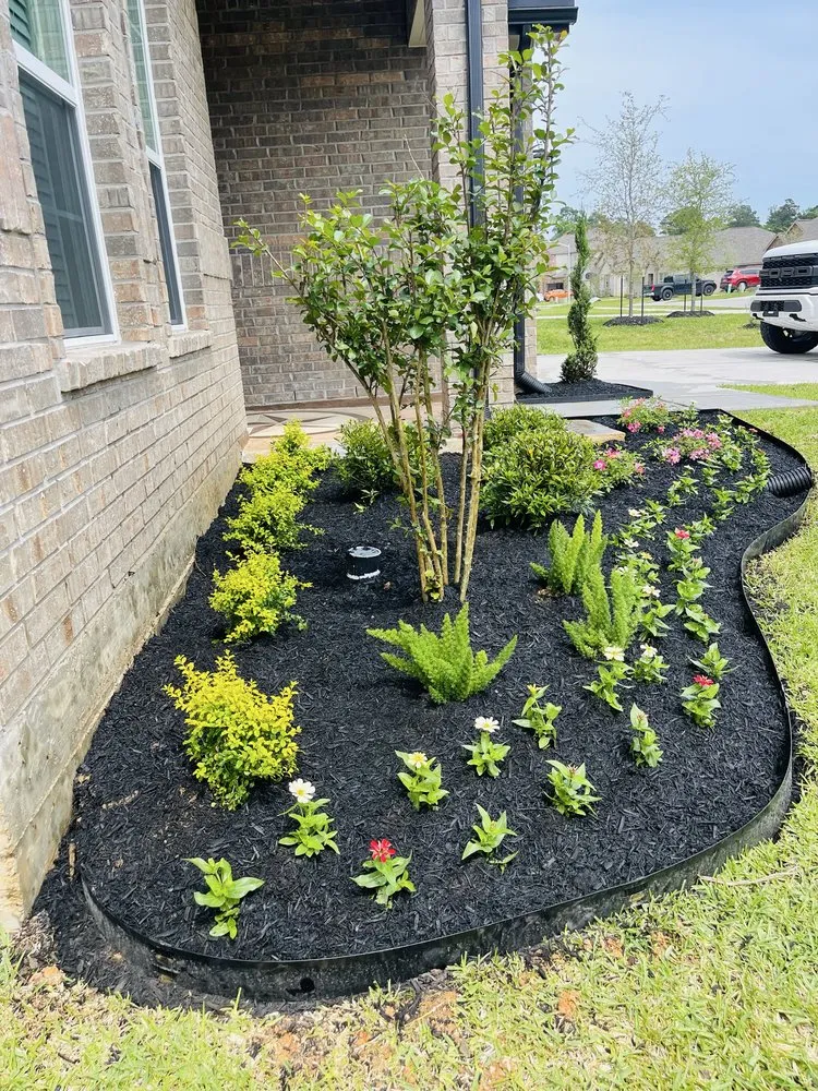 Professional outdoor landscaping in Conroe, TX - Pine Forest Lawn Care